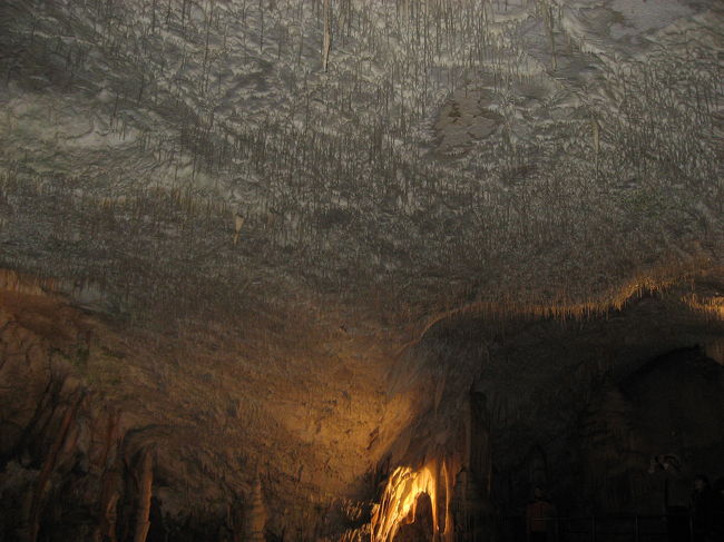 スパゲティといわれる鍾乳洞．