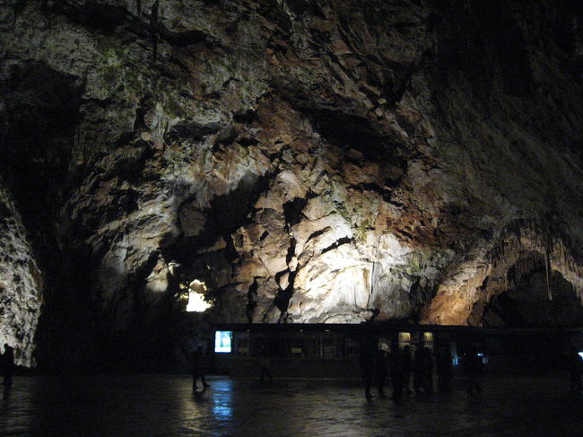 コンサートホールと呼ばれる広場．<br /><br />毎年クリスマスコンサートが開催される．<br /><br />なお，湿度90％以上であるため，<br />機器類に悪影響を及ぼすことからコンサートは年一回．