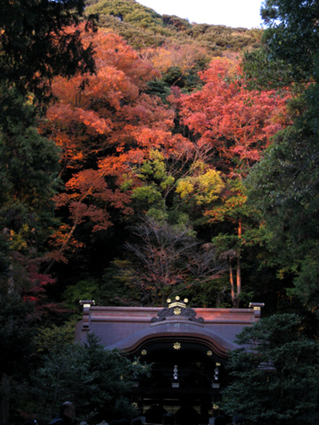 境内の東側に位置する白旗神社の裏山が、陽の光をあび、黒塗りの社殿とのコントラストが素敵です。ここは学業成就御祈願に良いところのようです。