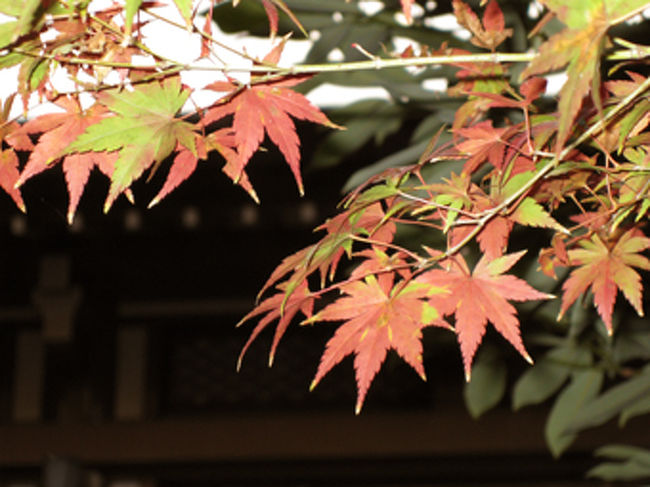 今回、鶴岡八幡宮の駐車場は撮り損ねたのですが、比較的大きな駐車場があるようです。ただし、満車必至です。お出かけの際は、予約が必要のようです。