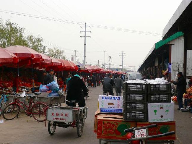東郊市場です。地下鉄１号線「大望路駅」から徒歩１０分くらい。野菜に果物、肉、魚から、生活用品、お茶、布団、生き物まで、何でもあるんじゃないでしょうか！見るだけで飽きない市場です。