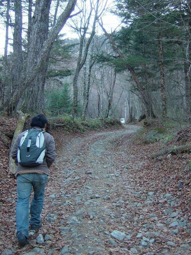 登山道はあまり険しくなく、比較的上りやすかったです。