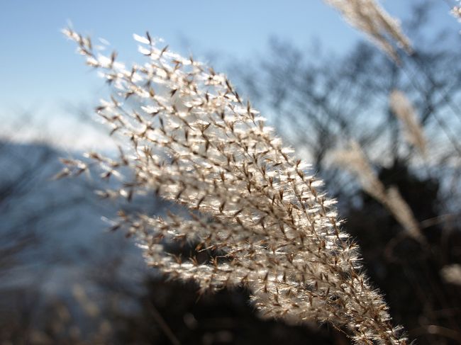 せっかくなので、色々撮ってみました。