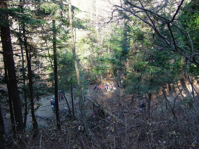 下山途中、いくつかのツアー団体とすれ違いました。<br />登山ツアーなんてのもあるんですね、知りませんでした。