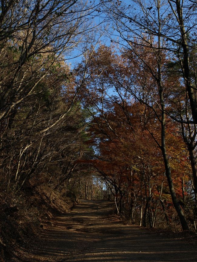 せっかくなので、行った事のなかった紅葉台へ。<br /><br />展望台まで車で行けるらしいのですが、「この道は大変危険ですので通らないでください」的な看板があり、怖くなって歩いていきました。<br />…これが思いの他遠かった…。<br /><br />確かに展望台までの道は細い上にでこぼこしていて、車は大変そうでした。