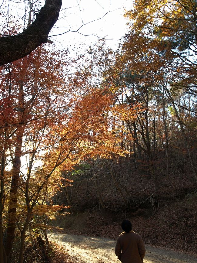 ま、少し紅葉も見れたので、歩きでもよかった…かな。