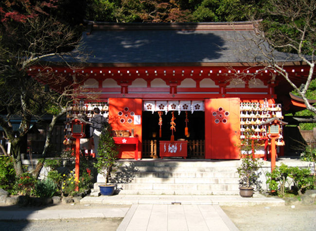 合格祈願絵馬、お礼絵馬が社殿いっぱいに飾られています。