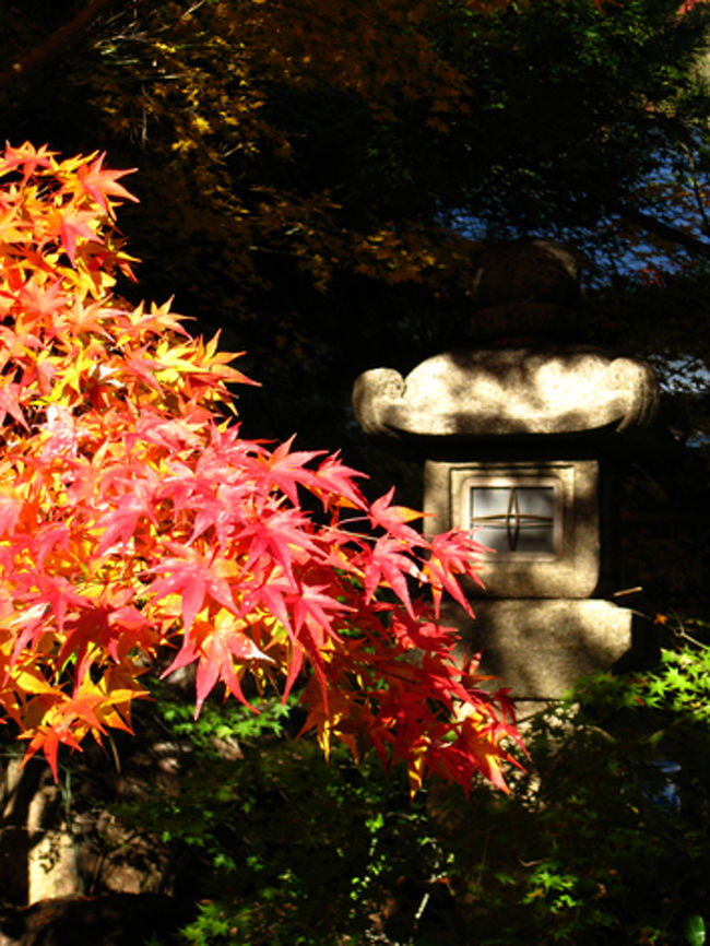 灯篭とモミジ。