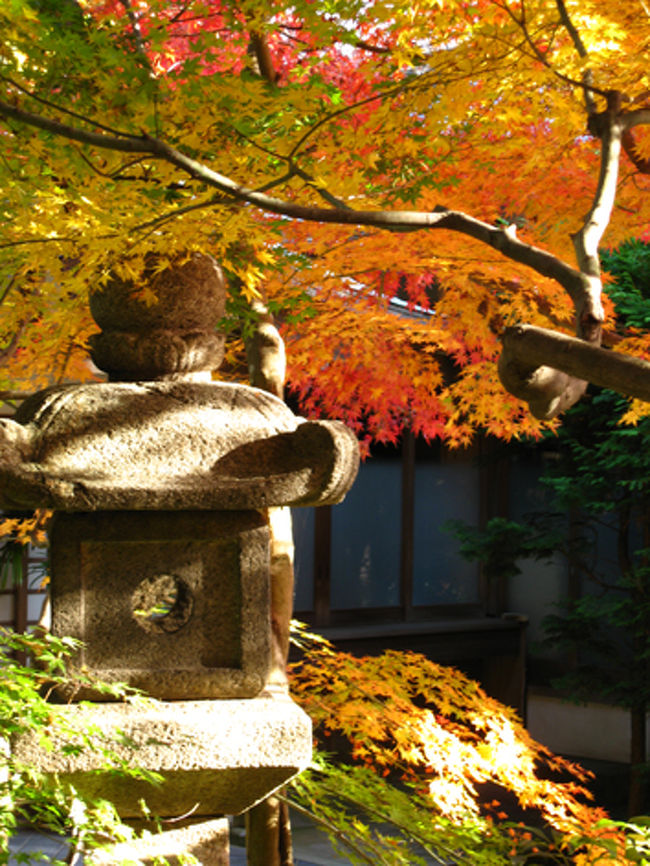 さらに灯篭とモミジ。