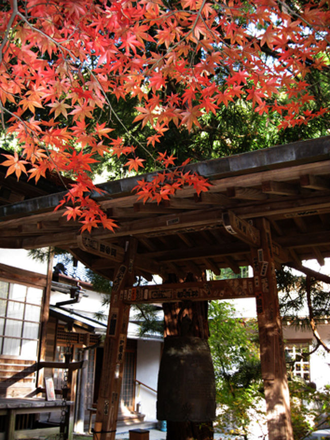 さらに鐘とモミジ。<br /><br />このお寺は、1218年に北条義時が大倉薬師堂を建立したのが始まりで、のち1296年北条貞時が覚園寺として再建したといわれています。鎌倉時代の風情を残す、数少ない古刹です。「覚園寺縁起」という記述には、真偽は別として、このお寺に関する興味深い逸話も残っているそうです。<br /><br />