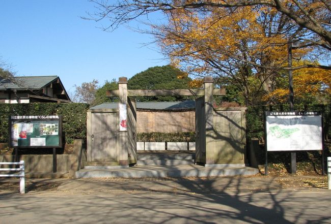 佐倉市散策 11 歴博くらしの植物苑に冬の華 サザンカを訪ねます 佐倉 四街道 千葉県 の旅行記 ブログ By Yamajiさん フォートラベル 佐倉市散策 11 歴博くらしの植物苑に冬の華 サザンカを訪ねます 佐倉 四街道 千葉県 の旅行記 ブログ By Yamajiさん フォートラベル