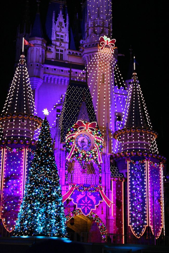 クリスマスファンタジー 2007』東京ディズニーリゾート(千葉県 クリスマスファンタジー 2007』東京ディズニーリゾート(千葉県