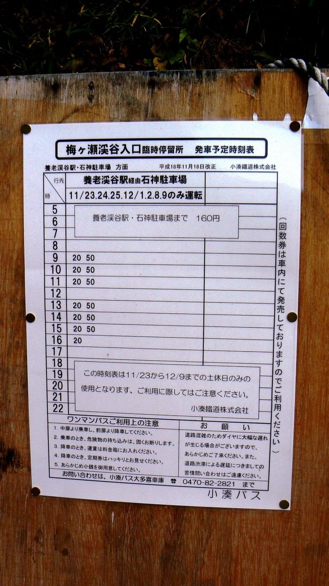 さあー 紅葉狩りだ 養老渓谷の梅ヶ瀬をたいへんだけど歩いてみる 養老渓谷 千葉県 の旅行記 ブログ By Ajiajiroさん フォートラベル さあー 紅葉狩りだ 養老渓谷の梅ヶ瀬をたいへんだけど歩いてみる 養老渓谷 千葉県 の旅行記 ブログ By Ajiajiroさん フォートラベル