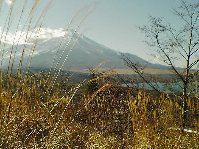 富士百景ならぬ・・富士十景！！
