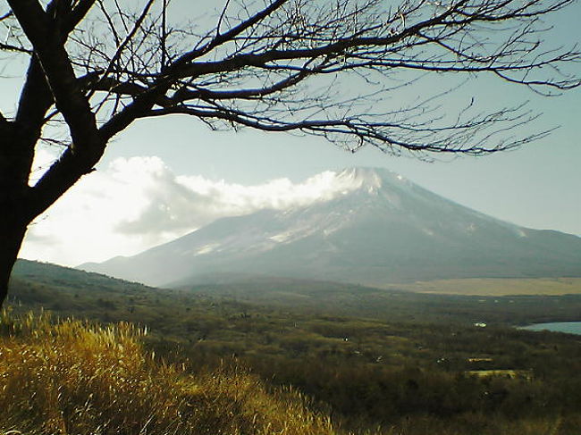 富士百景ならぬ・・富士十景！！