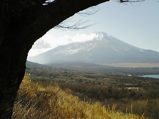 富士百景ならぬ・・富士十景！！