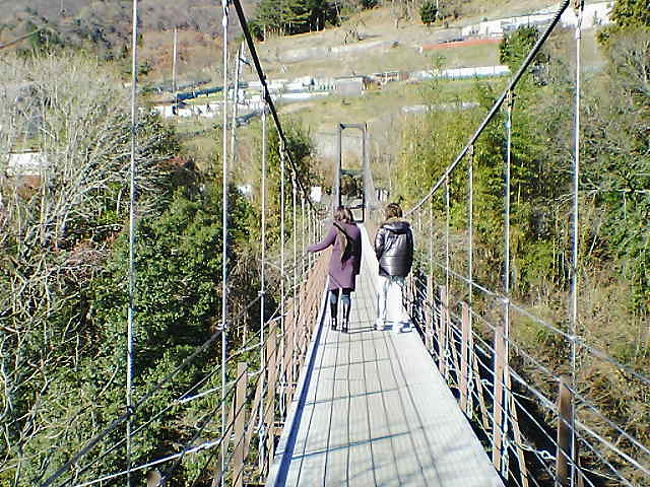 道志みち途中の・・<br />吊橋！