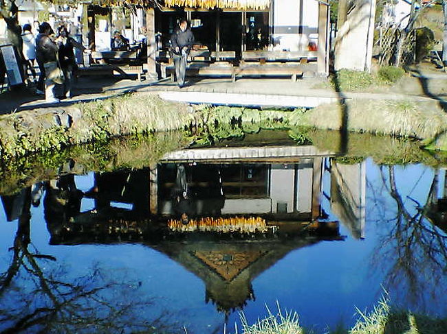 忍野八海の・・<br />？？池。<br />