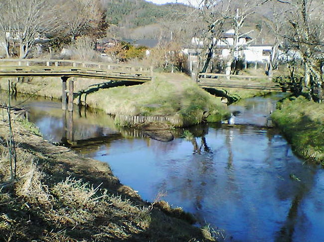 キレイな水は・・<br />確実に絵になる！！