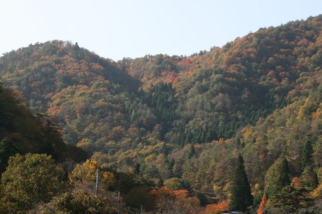 山が少しづつ色づきはじめてきています。<br />いろんな色が混ざり合ってこれもまた素敵です。