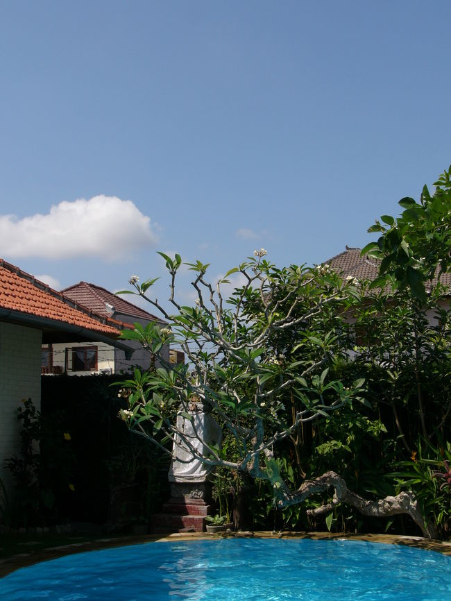 家の周りに次々と新しい家が建ちました。