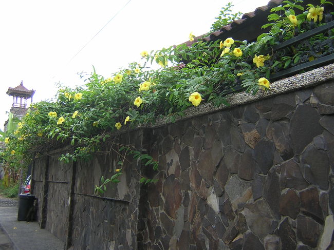 玄関の前の大きな邸宅です。<br />外国人居住地区は建設ラッシュです。