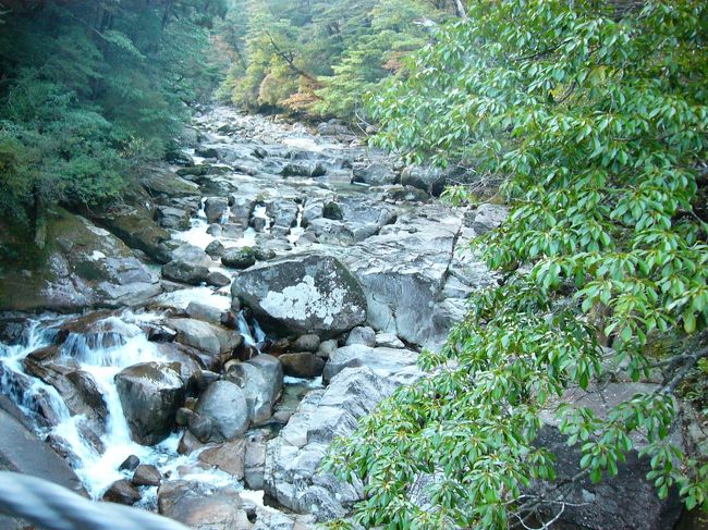 吊り橋からの眺めです。