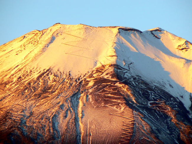 オレンジ色の輝きです