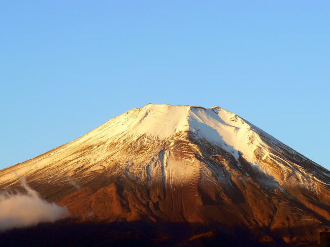 輝きが増してきました