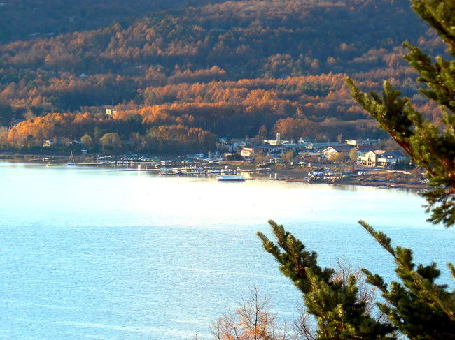 湖岸も明るくなりました