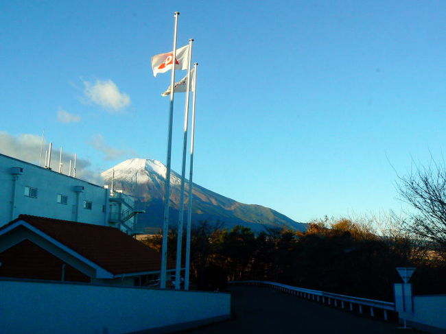 西からの強風が吹いています
