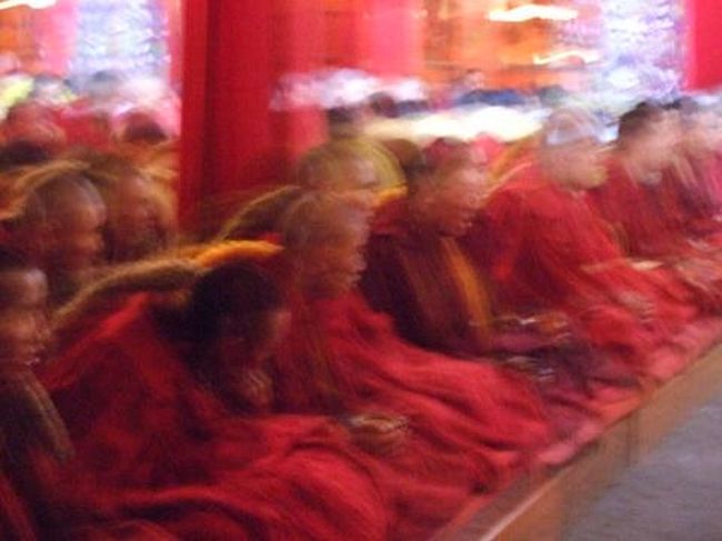 これが叩かれた時にシャッター切った写真。<br />ブレブレじゃないか〜！！！