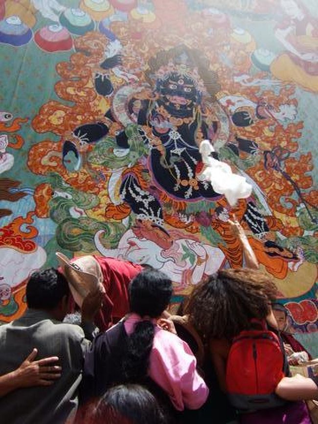 お昼を過ぎているのでタンカにも容易に近づき触ることが出来た。<br />坊主も頭を殴っている様子もないし・・・（笑）<br />