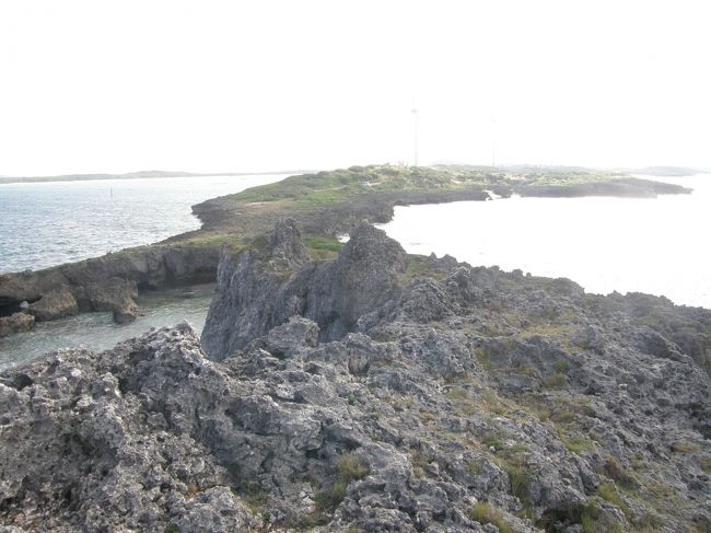 西平安名崎の一番端まで歩いていった。<br />落ちたら東シナ海の藻屑と消える・・・