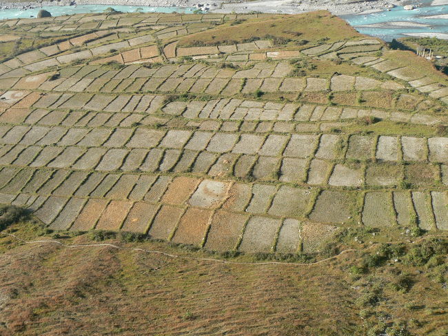 ホテルの横は谷で、棚田