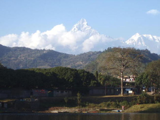 のどかな湖面より