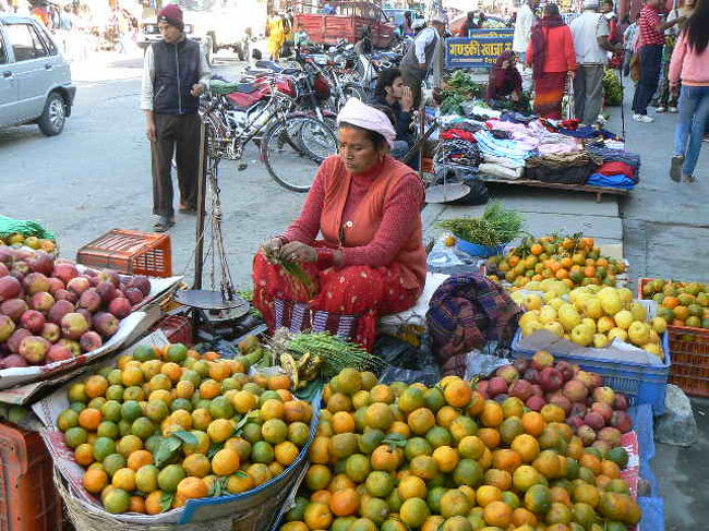 みかんもバナナは採れる国です