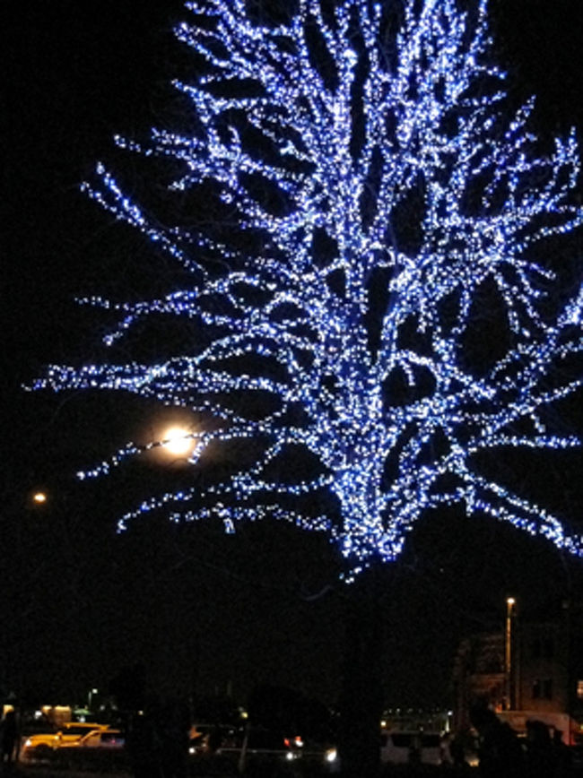 月とイルミネーションツリー