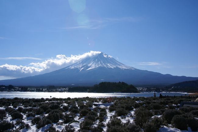 で、コレが精一杯。。。