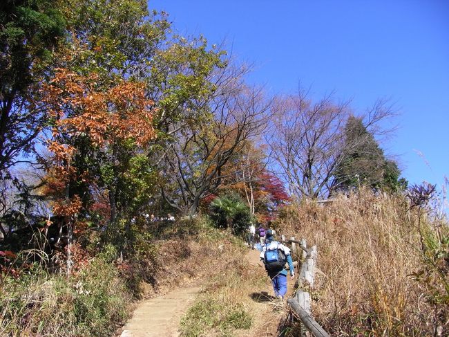 景信山手前の急坂に死ぬかと思いながら、ついに景信山に到着しました。<br />やっとお昼だ。