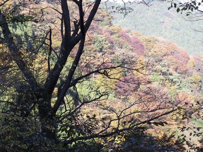 そんなことがあったものの、なめこうどんも食べられたし紅葉も富士山も楽しめたしで満足の歩き納めでした。<br />来年はもっと色んな山に行くぞ！