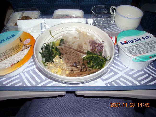 1回目の機内食(昼食)。お約束のビビンバ。<br /><br />美味しかったが,デザートにあの「餅」は勘弁して頂きたい。私的には「餅」はデザートと言うより「おやつ」である。後で小腹が空いた時においしく頂いたが。