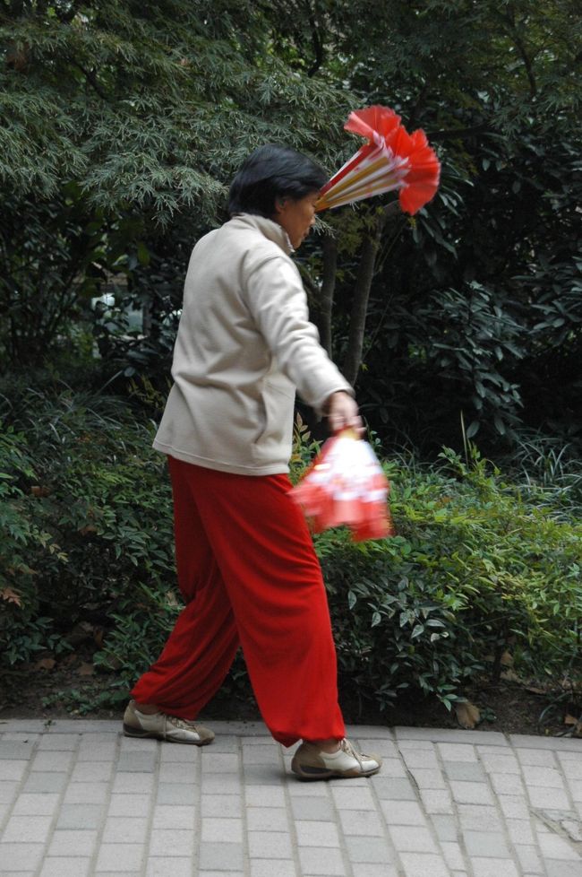 上海 上海ダイジェスト 朝９時までに公園に行かなくちゃ例のもの見られないよ 上海 中国 の旅行記 ブログ By けーしちょーさん フォートラベル