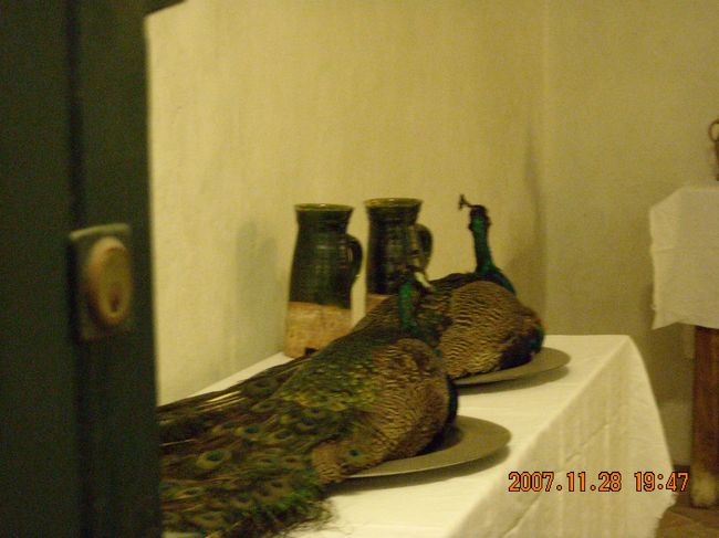 哀れ孔雀は皿の上。プ。