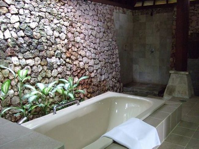 浴室は露天風呂みたいです。