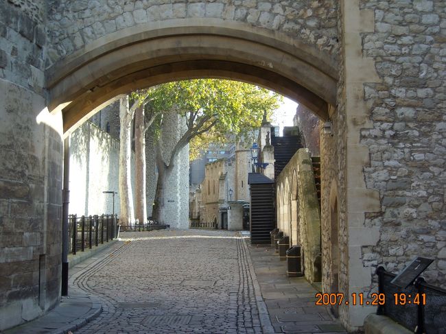 兄嫁に褒められた写真。えへん。