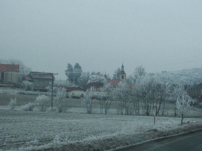 車窓からは、霜が降りてどこまでも真っ白な幻想的な風景が広がります。