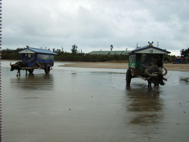 西表島の由布島で水牛車