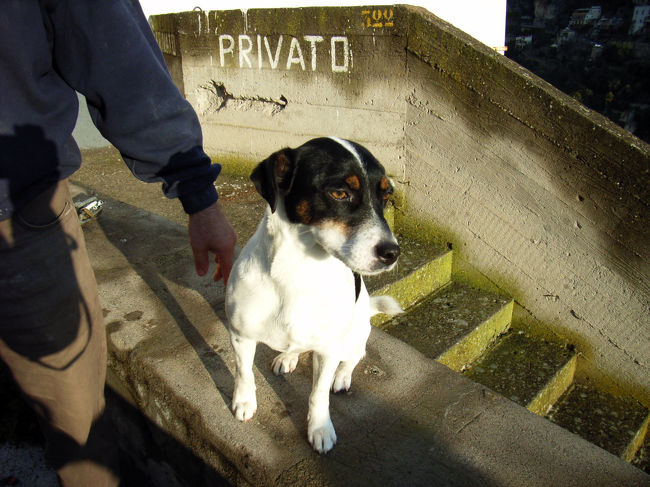 ポジターノで出会った女の子