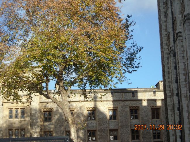 昼食は，サイト内のカフェで，フィッシュ＆チップス(£7.95)とアップルジュース(£2.25)。ヴィネガーが見当たらなかったので，ケチャップで。ケッチャッパーとしては別に不満なし。<br /><br />他のテーブルでは欧米人の団体さんが，メンバーの誰かのバースデイパーティーを行っていた。<br /><br />カメラの電池補充のため一旦ホテルへ。<br />